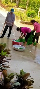 z2517742348056_ea2e16f3708db0c21d88fcab0c105101